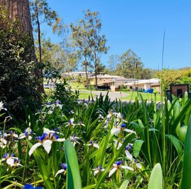 Tranquillity on Point