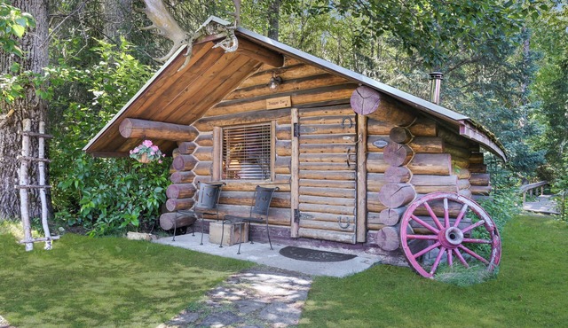 Trapper Dan's Cabin -a sweet little cabin directly on the pond in Hope, Alaska