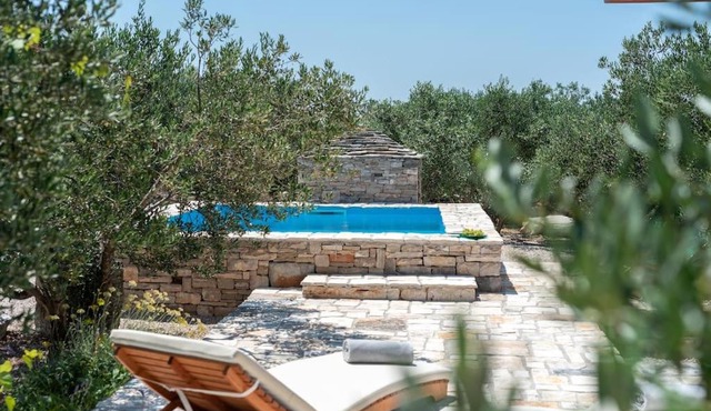 Trapula stone paradise
