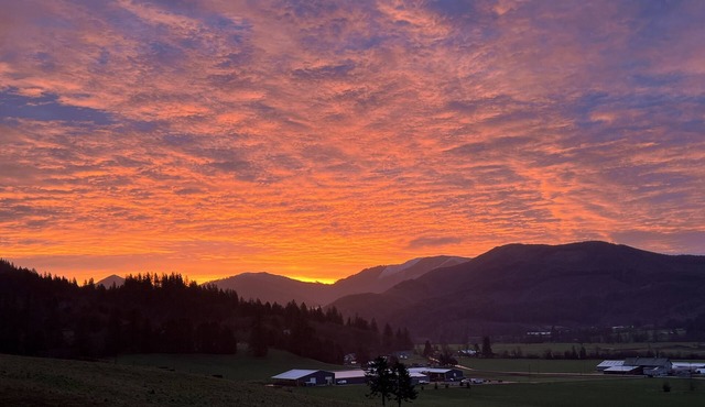 TRASK RIVER HOUSE: A unique home with great views!
