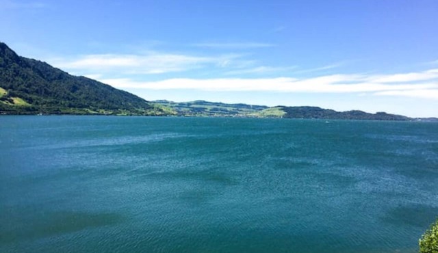 Traumwohnung, grosse Terrasse, direkt am Zuger See