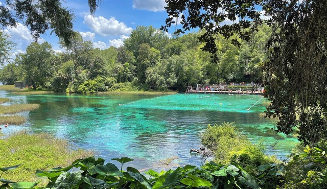 Travel and discover central Florida Springs while staying in our modest home.