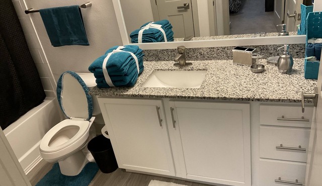 Travel Nurse who want to take a break after a long shift. a 1b/1b King Bed