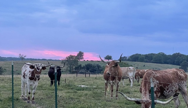 Travel Trailer Farm Getaway!