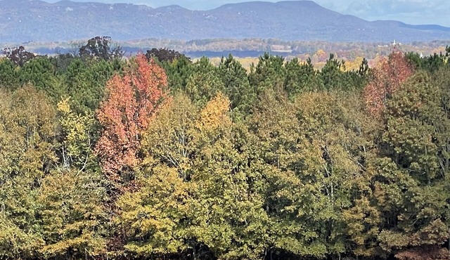Travelers Rest, Furman, Greenville, and a mountain view!