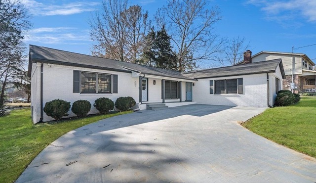 Traveling Professional Paradise