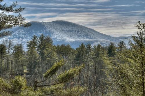Traveller - Cabin with Hot Tub and Mountain Views - Hot Tub, Mountain Views, Ping Pong Table, Modern Amenities - Cherry Log, GA
