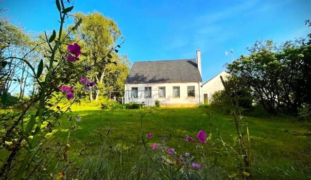 Travelling Sun - The Country Farm Experience