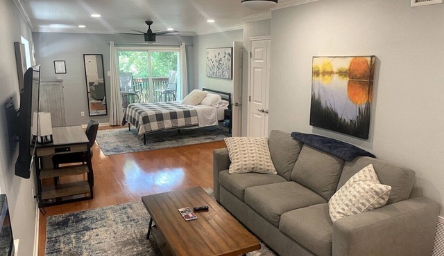 Travis Heights Oasis!