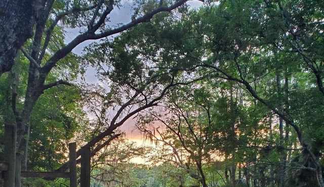 Treasure of the Suwannee