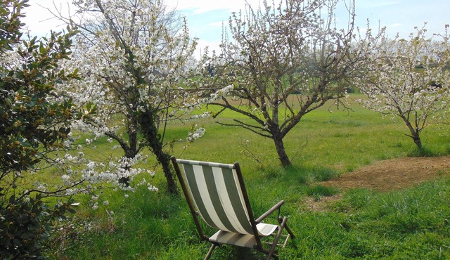 Treat yourself to a sublime escape in the pretty little village of Faudoas.