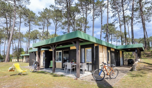 Treat yourselves to an unforgettable holiday in the heart of the Landes!