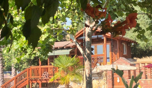 TREE CABIN FOR 2🌲Unique cabin close to San Luis Obispo, Morro Bay & Paso Robles
