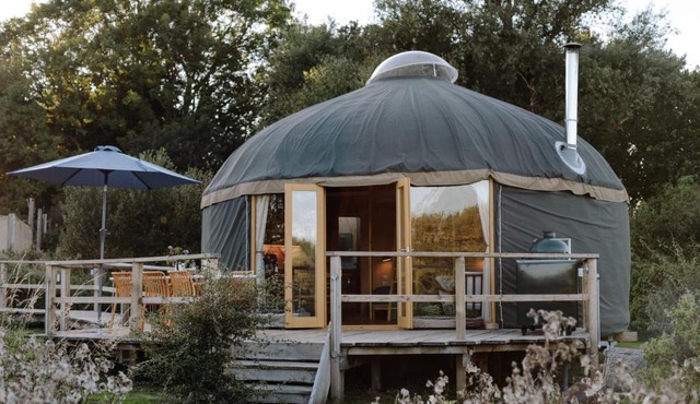 Tree Field Yurt at Moor Farm