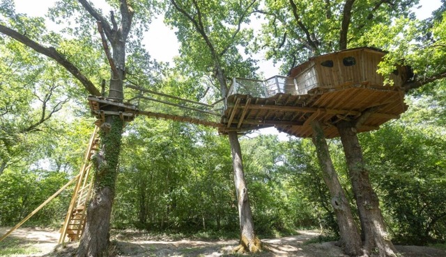 Tree-house Forest Camp 4p