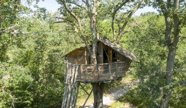 Tree-house Forest Camp 2p