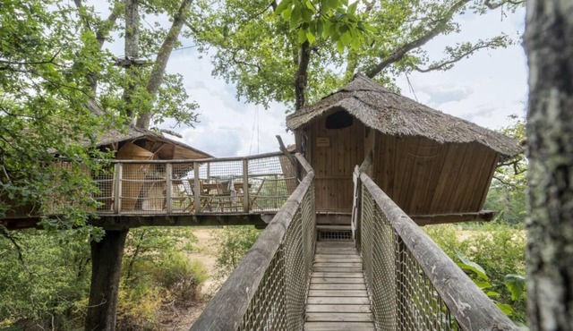 Tree-house Forest Camp 5/6p 2Bdrms