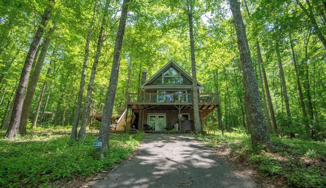 Tree House Chalet - Hot Tub - Firepit - Gas Fireplace - Close to Shatley Springs Restaurant
