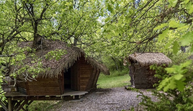 Tree House-Ensuite with Shower-Cabane dans l'arbre