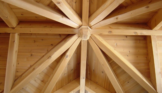 Tree House getaway with swimming, 18km of Hiking and MTN Biking Trails.