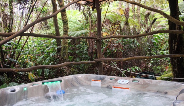 Tree House in Volcano Rainforest with a Hot Tub