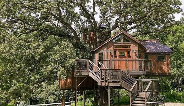 Tree House Luxury Stay