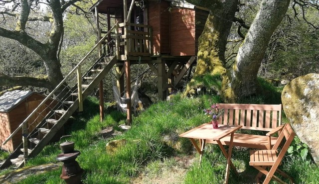 Tree House near Eden Project