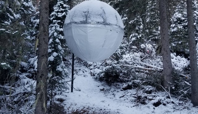 Tree House Tent Cocoon #01