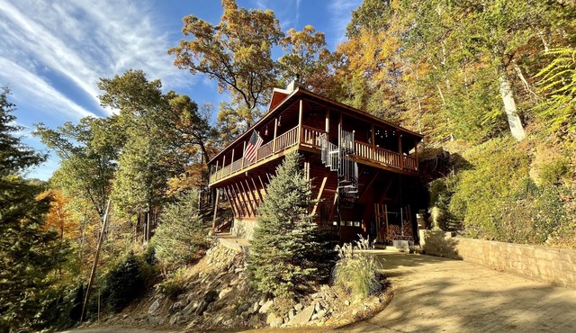 Tree House Treasure ~ Rare Find ~