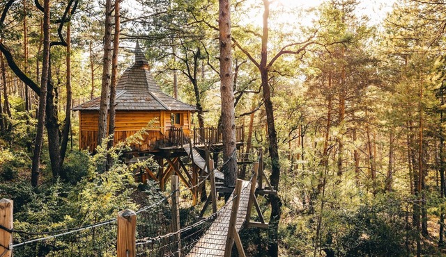 Tree house with private Jacuzzi - Aristoloche