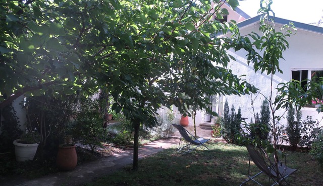 Tree-lined Toulouse - public parking lot