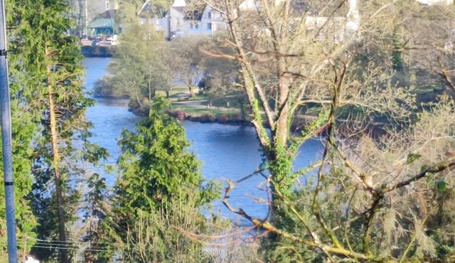 Tree oasis .canopy terrace