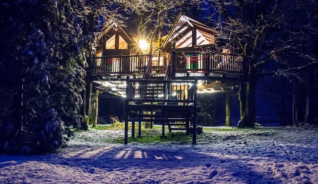 Tree Room Schoolhouse Suite!