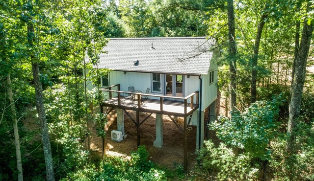 Tree-Top 1-Bed Cottage, 3.5 miles to Downtown Hendersonville