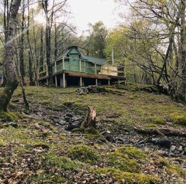 Tree Top Cabin with Private Hot Tub
