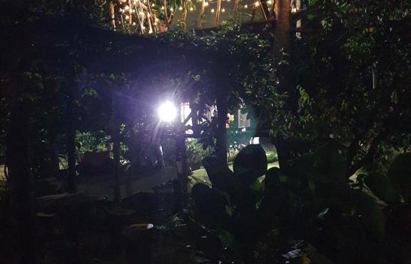 Tree Top Glamping Dusun Anum