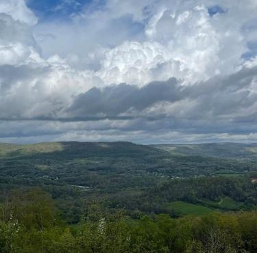 Tree Top View of lookout mountain