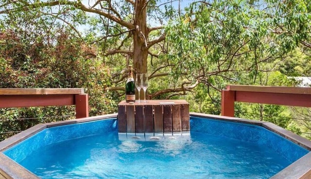 Tree Tops Luxury Studio