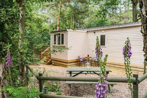 Tree Tops - Norfolk Cottage Agency