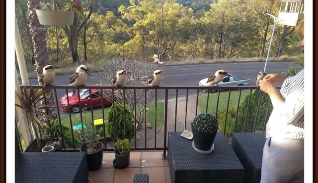 Tree Tops Studio Bangor