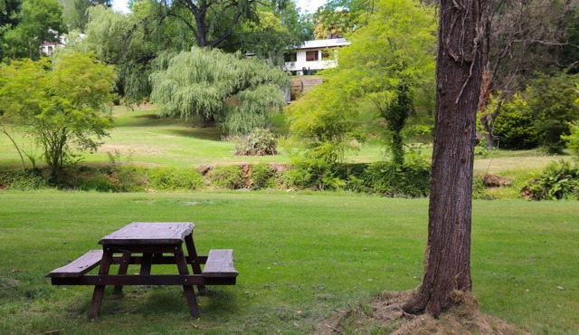 Tree View Cottage - Tranquil on the creek