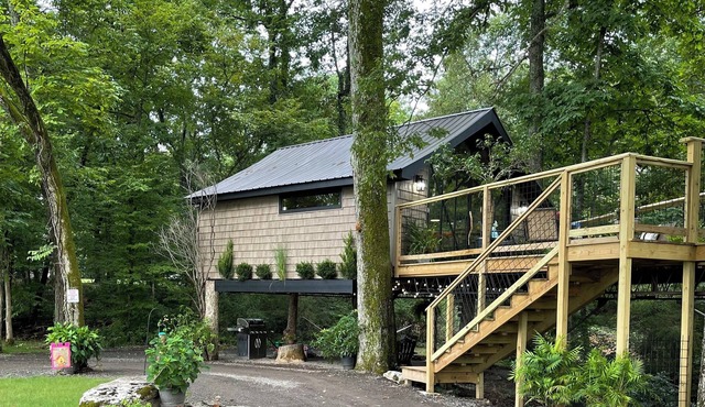 Treebreeze: A whimsical TREEHOUSE experience