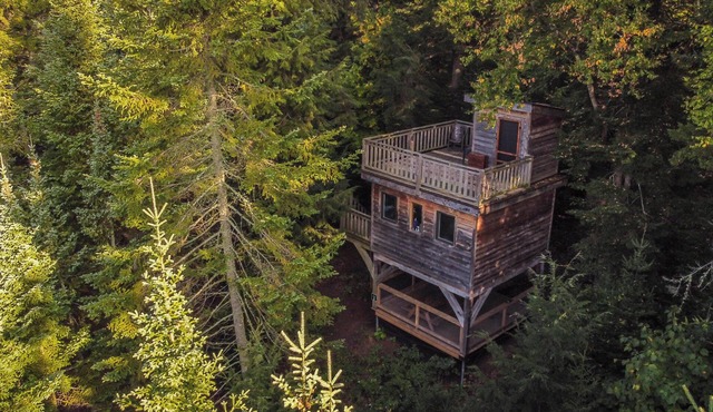 Treehouse #02 (Lakefront)