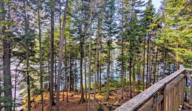 Treehouse #03 (Lakefront)