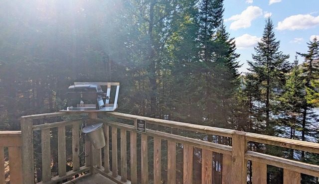 Treehouse #04 (Lakefront)