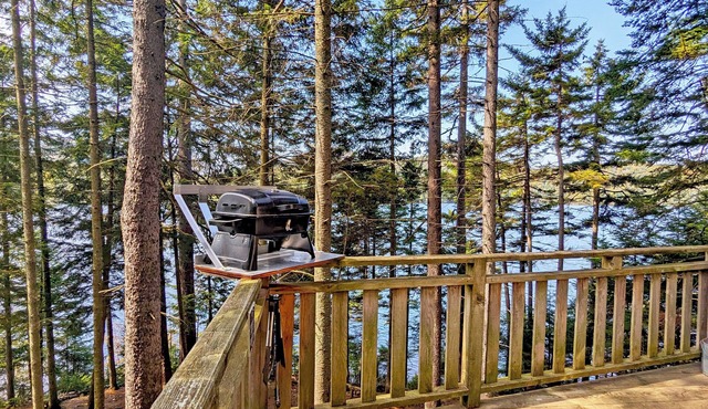 Treehouse #05 | The Bee