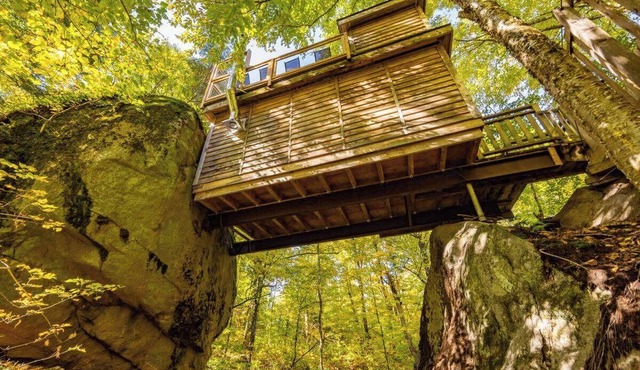 Treehouse #06 | The Rockhouse