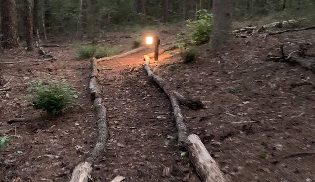 Treehouse 1/4 mile from the rails to trails