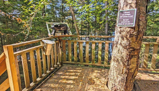 Treehouse #10 (Lakefront)
