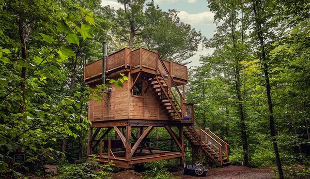 Treehouse #11 (in the forest)